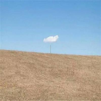 一码一肖100准资料应用下载手机版截图